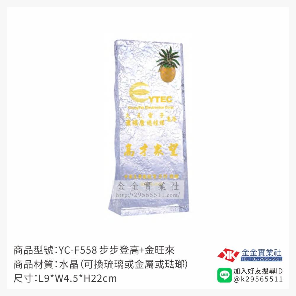 水晶獎牌YC-F558產品圖片